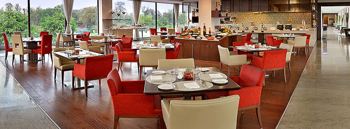 386/Four Points by Sheraton - New Delhi - 11.jpg